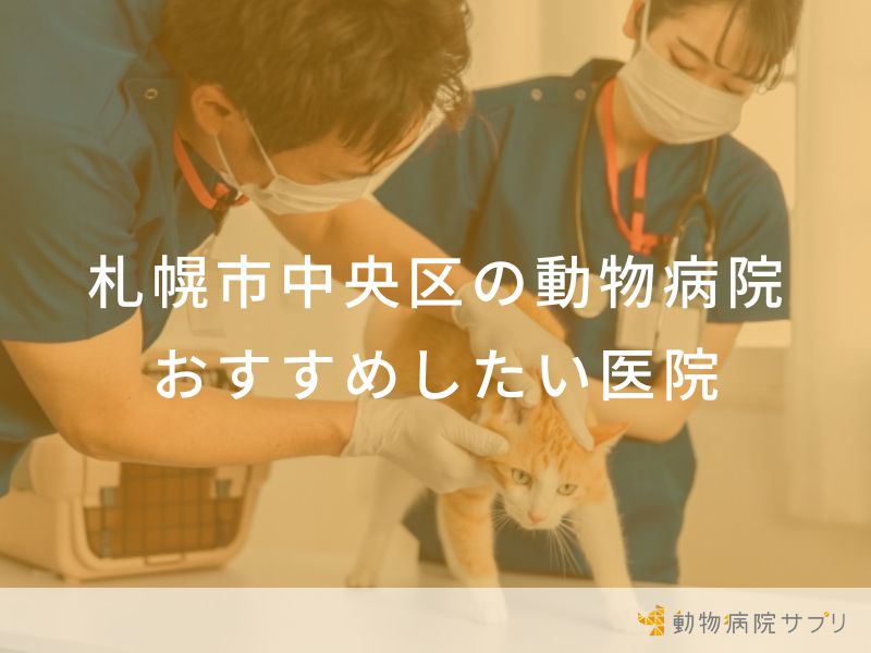 札幌市中央区の動物病院 おすすめしたい医院