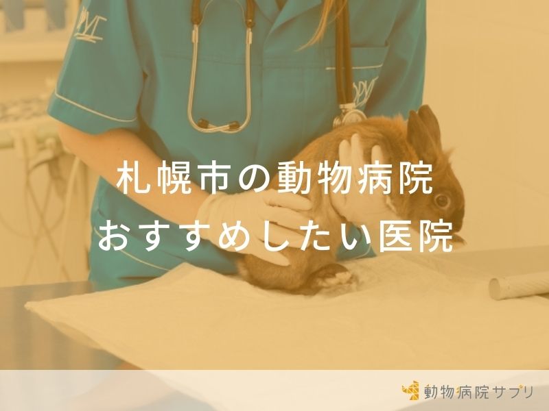 【2024年】札幌市の動物病院 おすすめしたい13医院