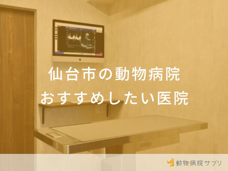 【2023年】仙台市の動物病院 おすすめしたい6医院