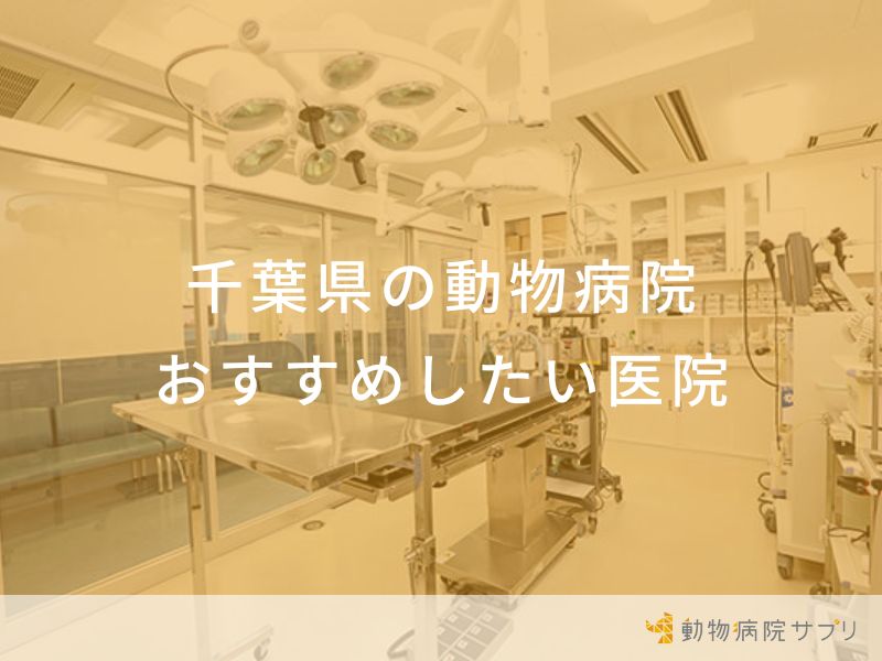 千葉県の動物病院 おすすめしたい医院