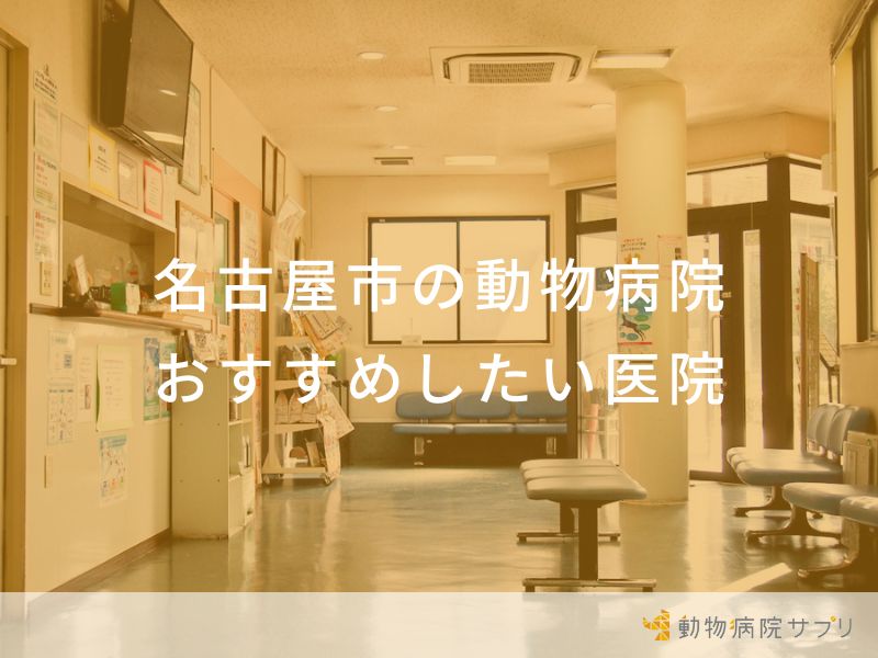 【2024年】名古屋市の動物病院 おすすめしたい6医院