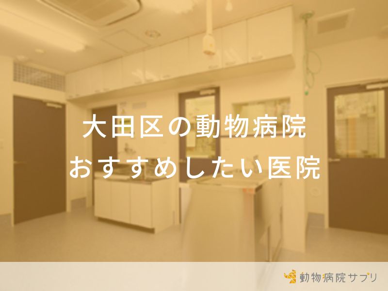 【2024年】大田区の動物病院 おすすめしたい6医院
