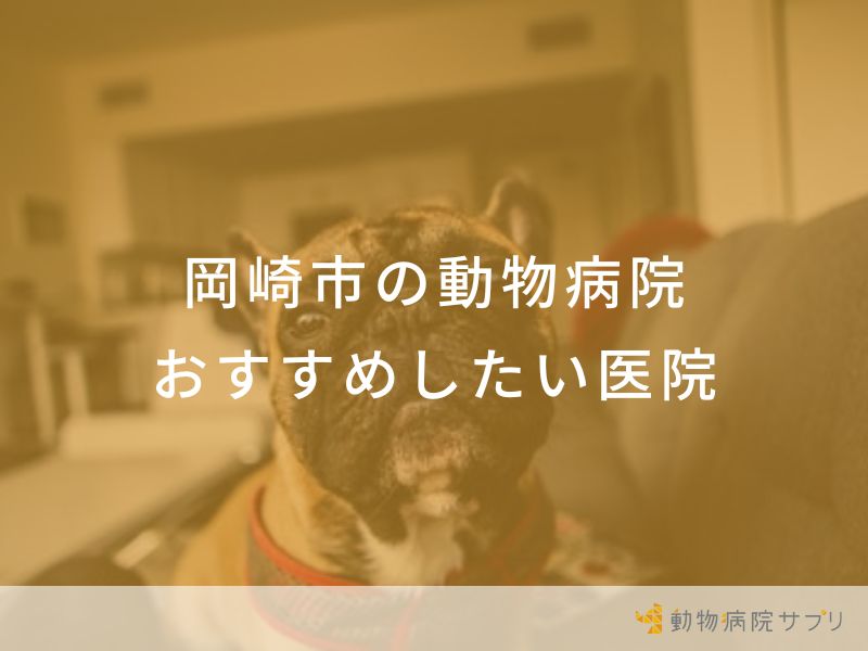 【2024年】岡崎市の動物病院 おすすめしたい5医院