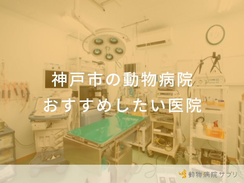 神戸市の動物病院 おすすめしたい医院