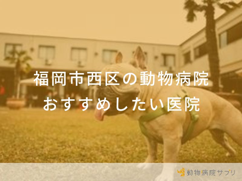 福岡市西区の動物病院 おすすめしたい医院