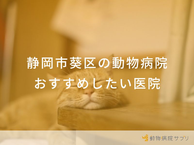 【2023年】静岡市葵区の動物病院 おすすめしたい６医院
